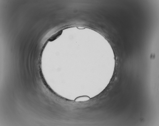 X0000111780007200909031144