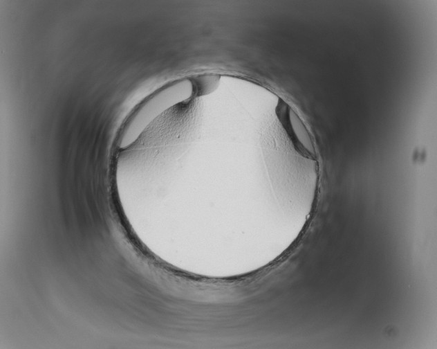 X0000111780008200909031144