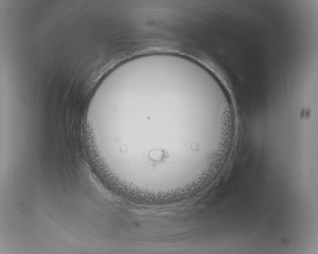 X0000111780009200909031144
