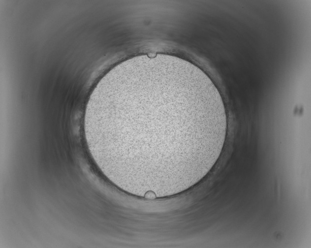 X0000111780010200909031144