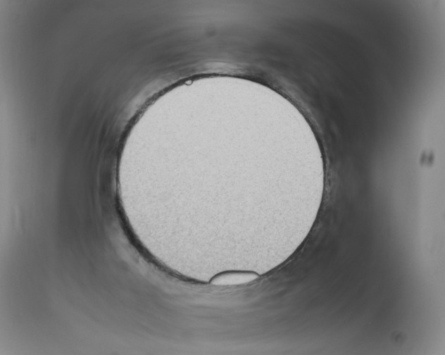X0000111780011200909031144