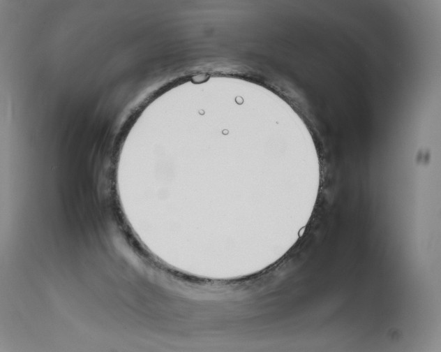 X0000111780012200909031144