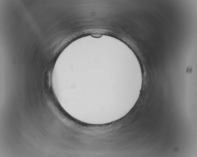 X0000111780013200909031144