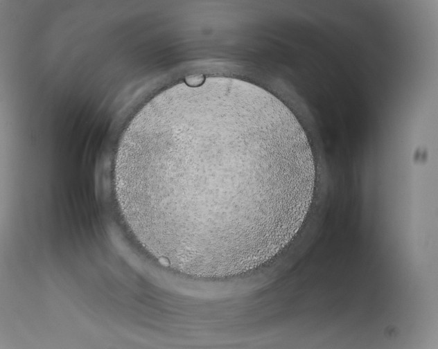 X0000111780014200909031144
