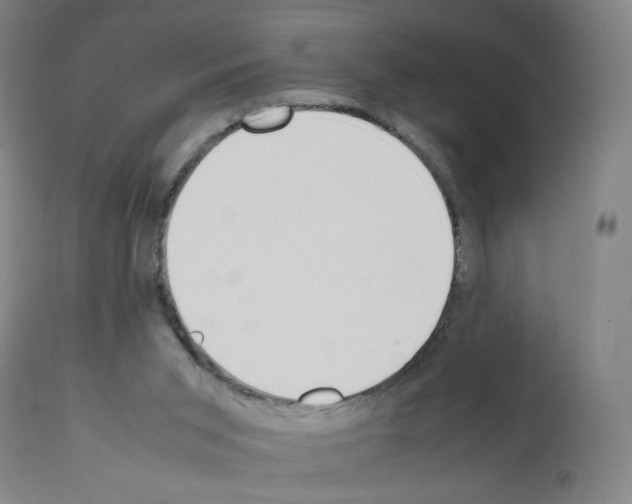 X0000111780015200909031144