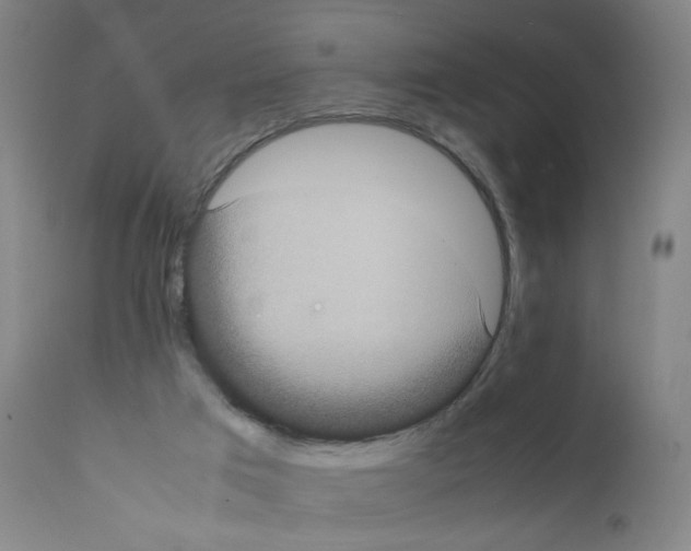 X0000111780017200909031144
