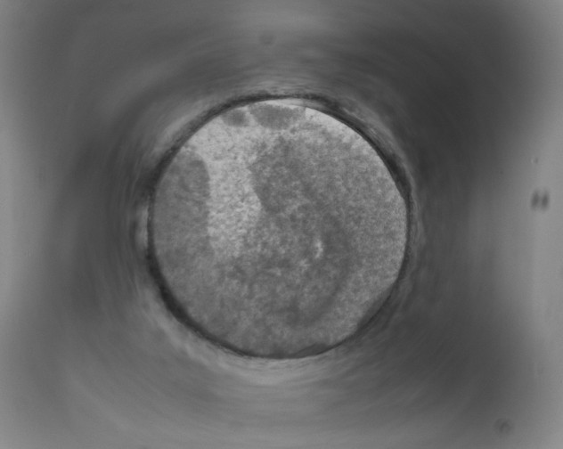X0000111780019200909031144