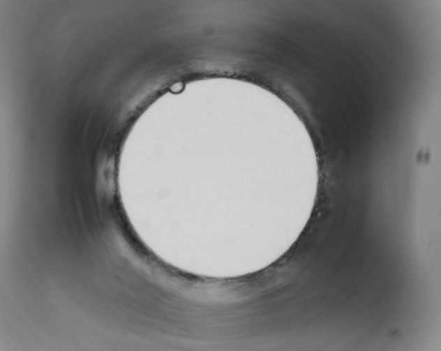 X0000111780020200909031144