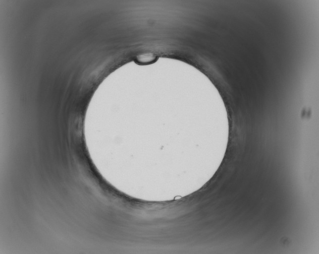 X0000111780021200909031144