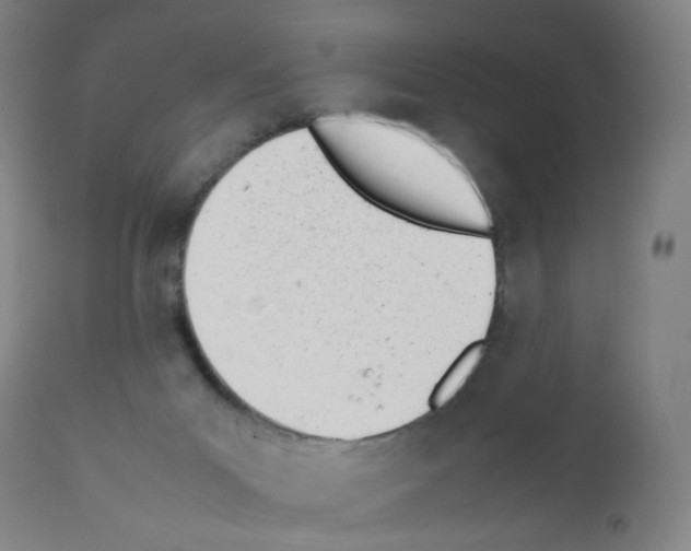 X0000111780023200909031144