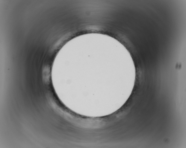 X0000111780024200909031144