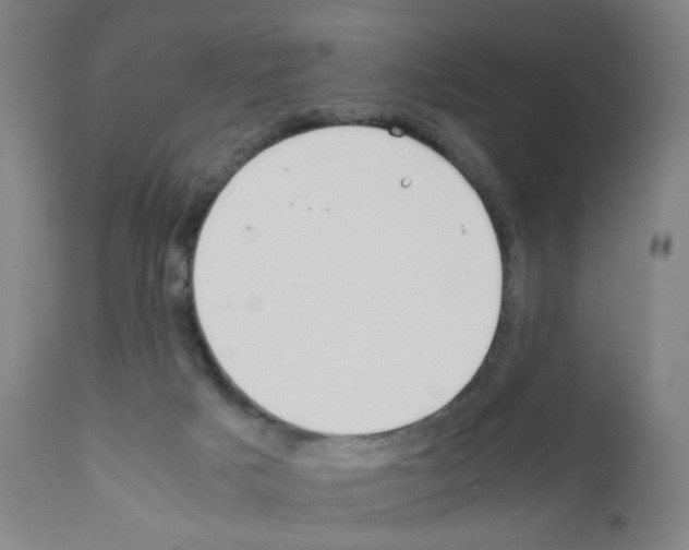X0000111780025200909031144