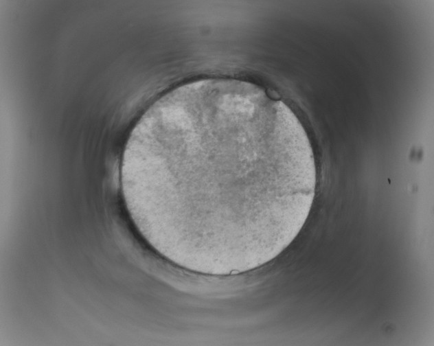 X0000111780027200909031144