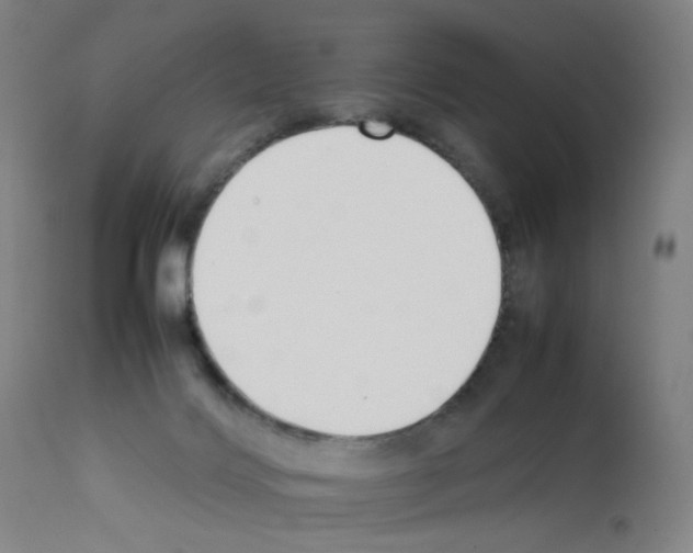 X0000111780028200909031144