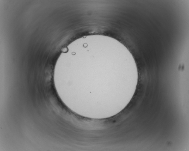 X0000111780032200909031144