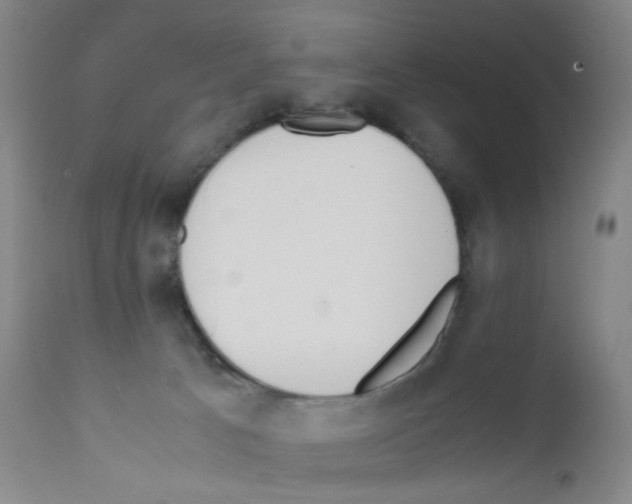 X0000111780033200909031143