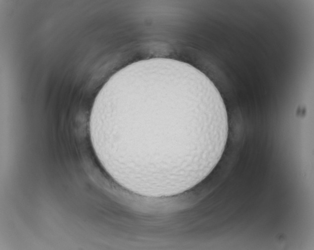 X0000111780034200909031143