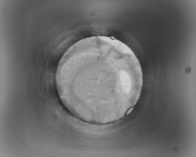X0000111780035200909031143