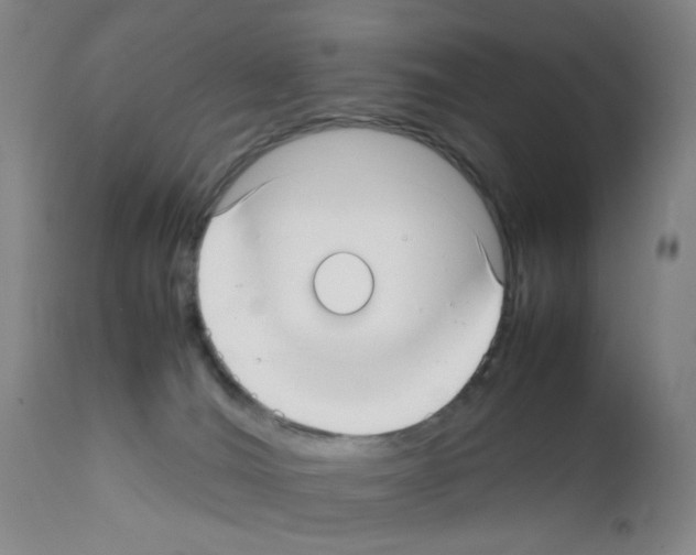 X0000111780036200909031143