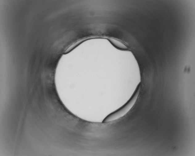 X0000111780037200909031143