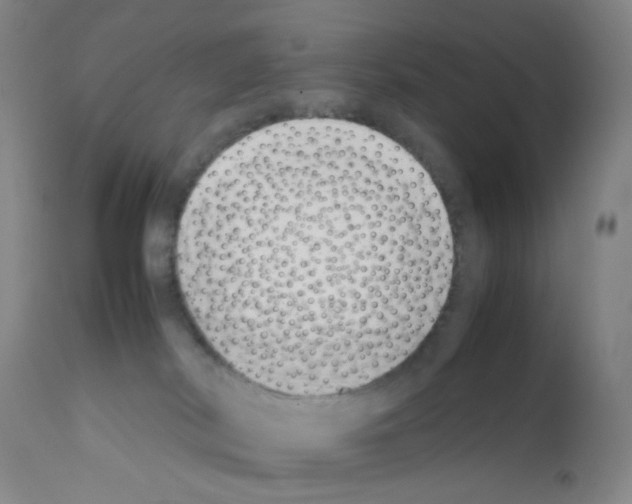 X0000111780038200909031143
