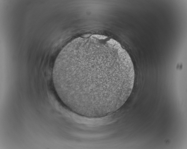 X0000111780039200909031143