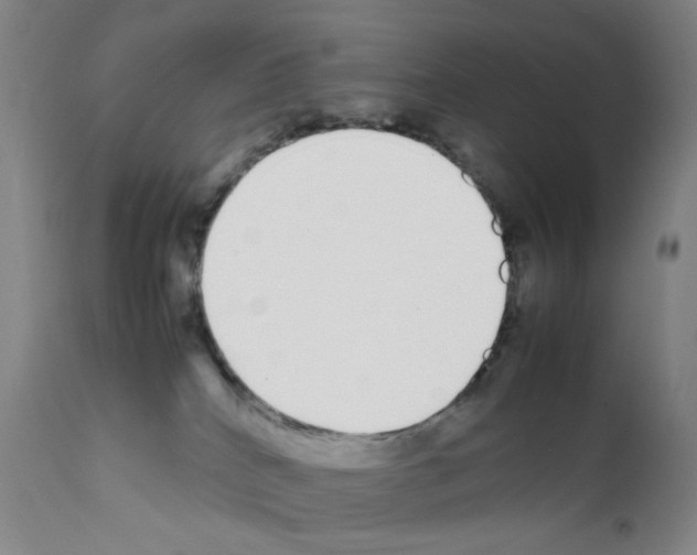 X0000111780040200909031143
