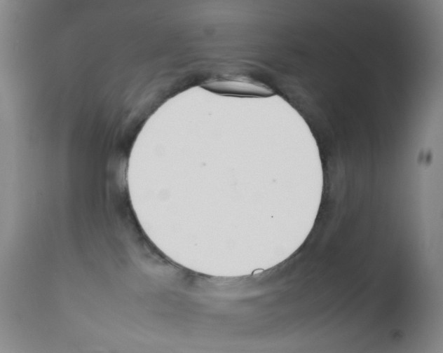 X0000111780041200909031143