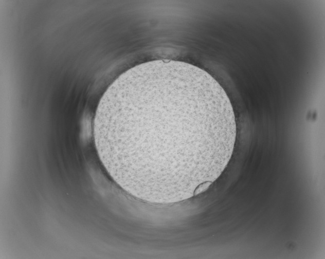 X0000111780042200909031143