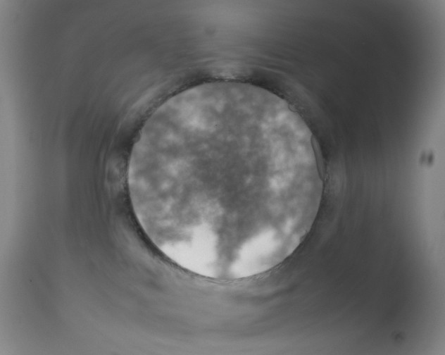 X0000111780043200909031143