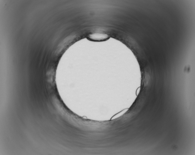 X0000111780044200909031143