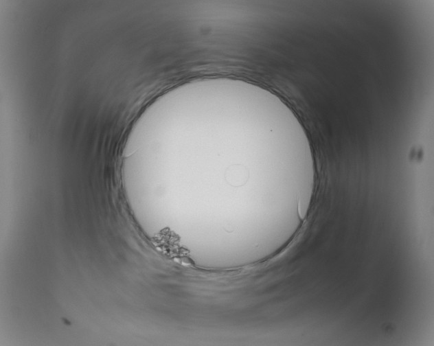X0000111780045200909031143