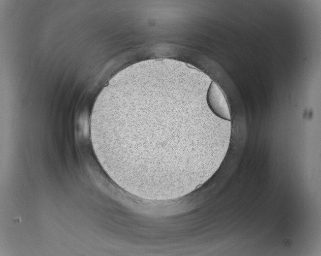 X0000111780046200909031143