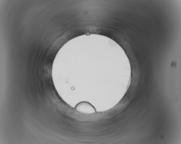 X0000111780048200909031143