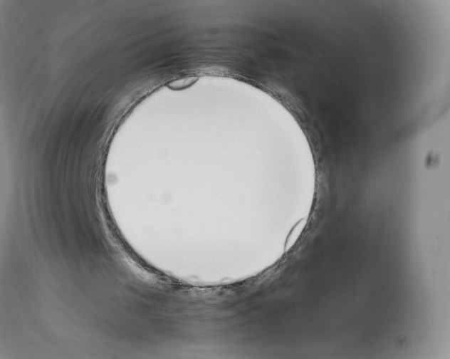 X0000111780049200909031142