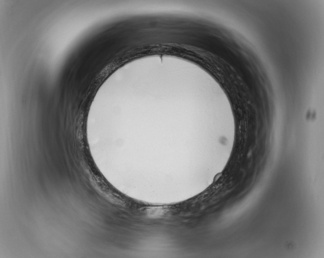 X0000111780050200909031142
