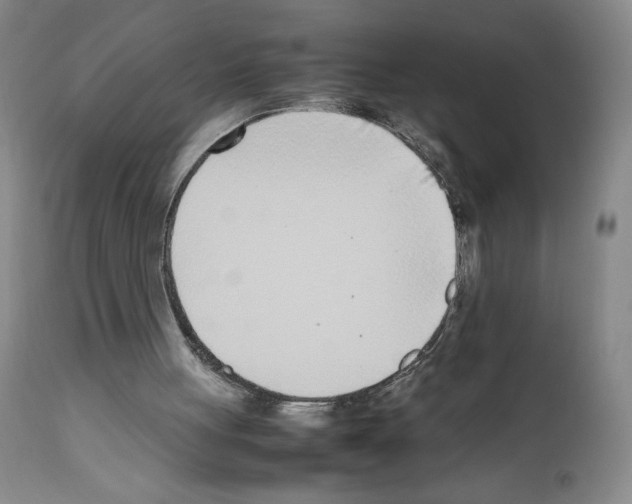 X0000111780051200909031142