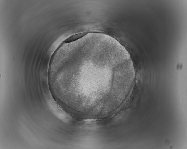 X0000111780052200909031143