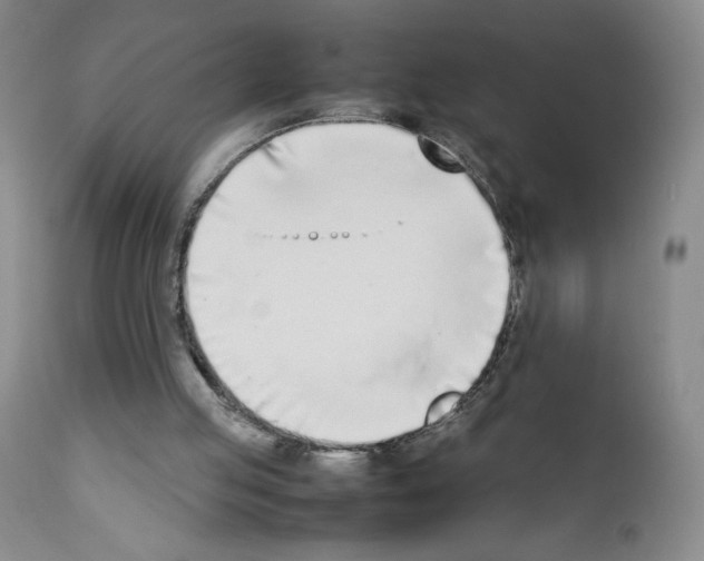 X0000111780053200909031143