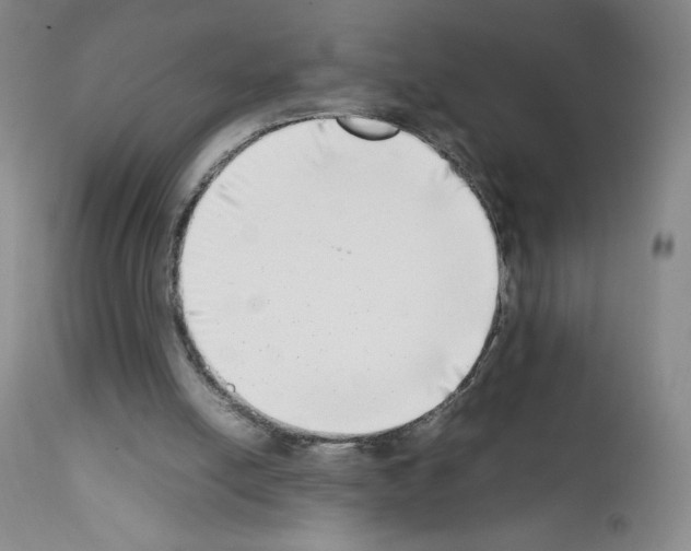 X0000111780054200909031143