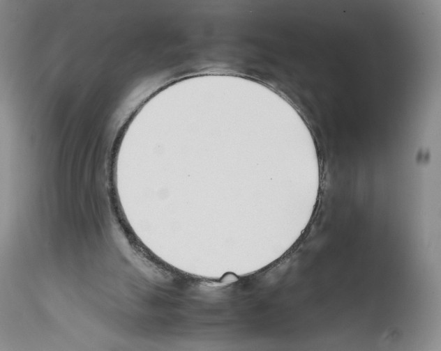 X0000111780055200909031143