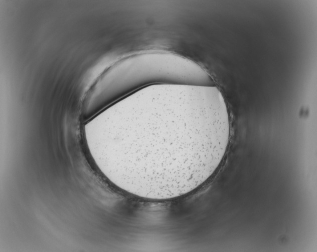 X0000111780056200909031143