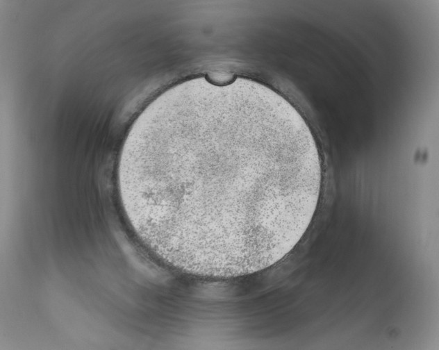 X0000111780058200909031143