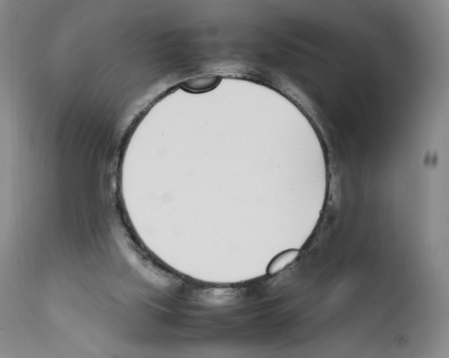 X0000111780059200909031143