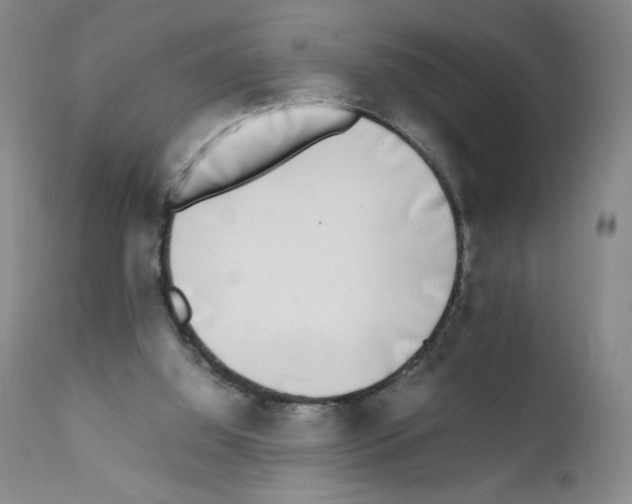 X0000111780060200909031143
