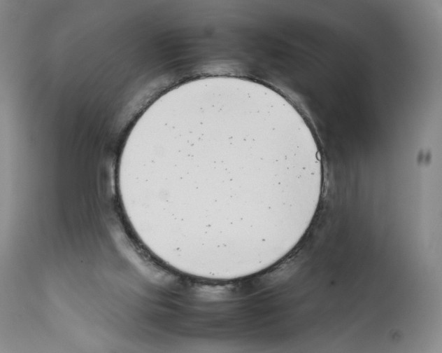 X0000111780061200909031143