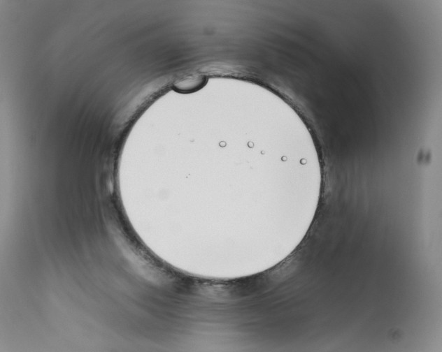 X0000111780062200909031143
