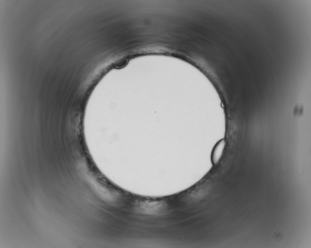 X0000111780063200909031143