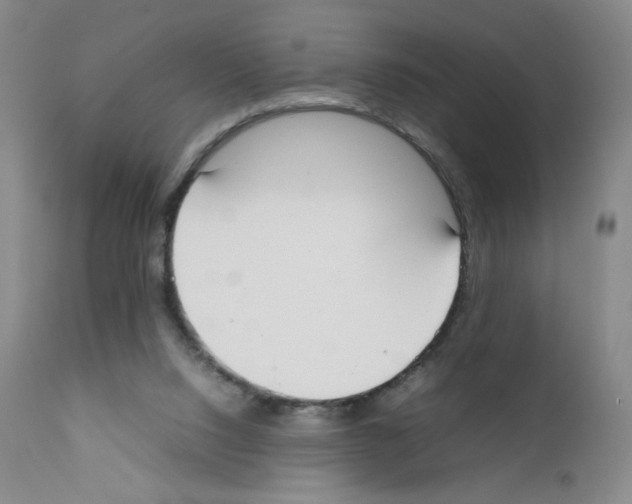 X0000111780064200909031143