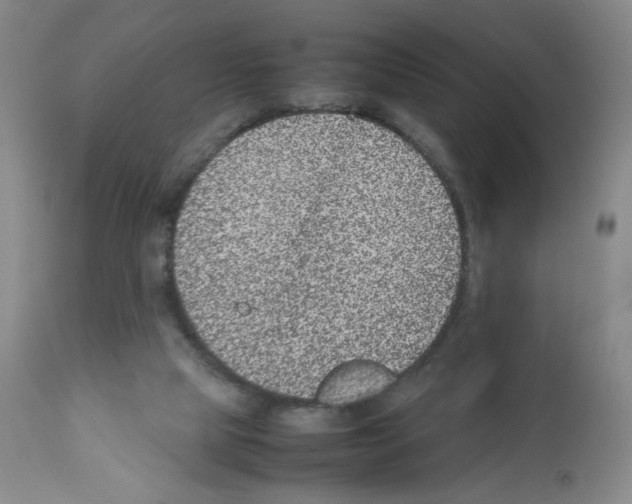 X0000111780065200909031143